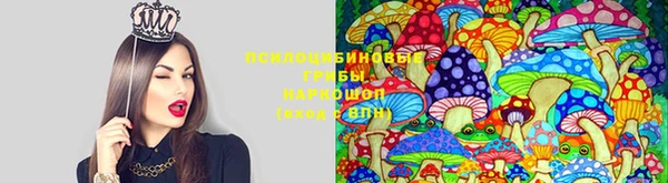 кокс Переславль-Залесский
