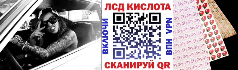 где купить наркоту  Выборг  Марки 25I-NBOMe 1,8мг 