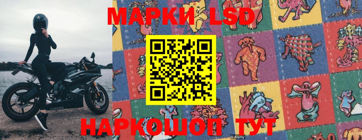 Марихуана  Гашиш  Выборг  Меф   A PVP СОЛЬ кристаллы  ГАШИШ  Вход с VPN  Вейп ТГК 