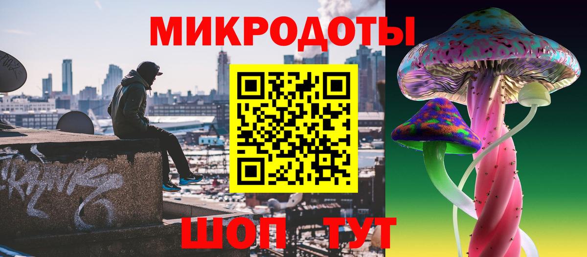 Галлюциногенные грибы Psilocybe  Псилоцибиновые грибы Psilocybe  продажа наркотиков  Вход с VPN  Выборг 